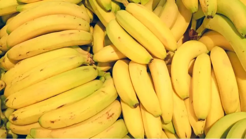 HTX Nông Sản Dịch Vụ Lộc Nam Farm