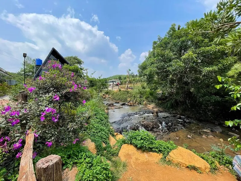 Nhà của Gạo