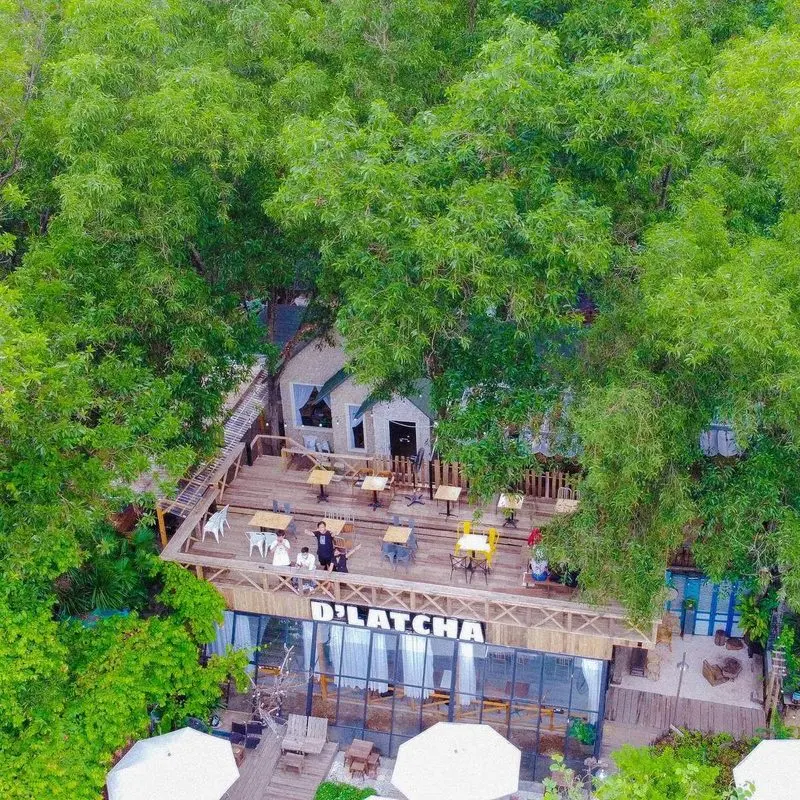 D'LatCha Tea Bistro