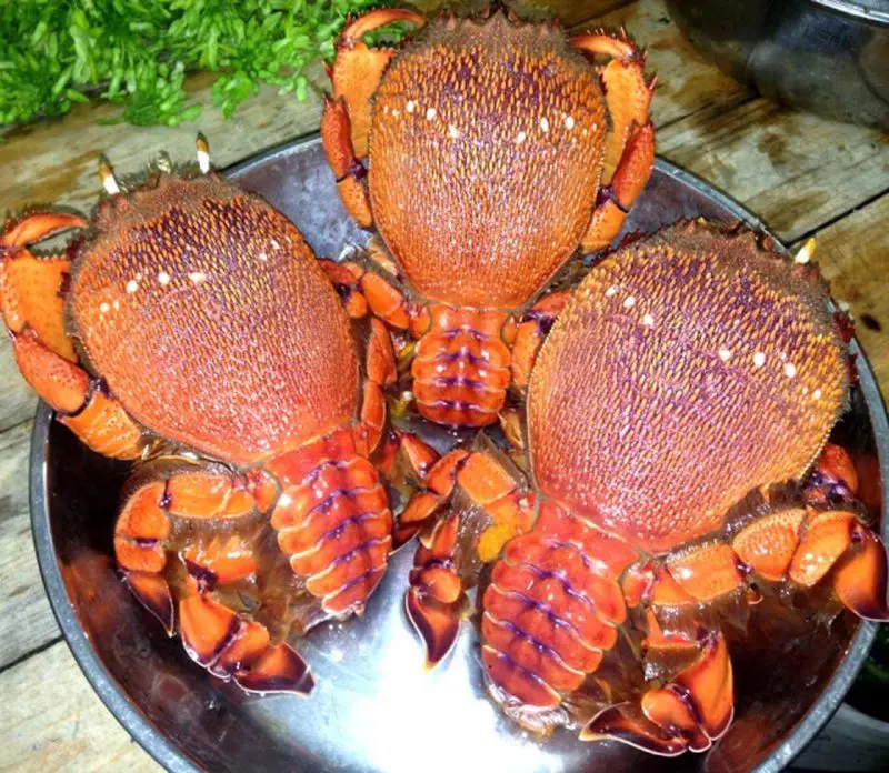 Nhà hàng Nam Huỳnh Đế