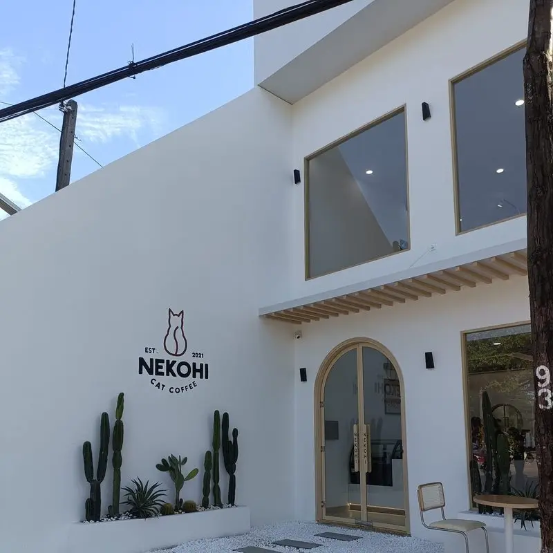 Nekohi Cat Coffee