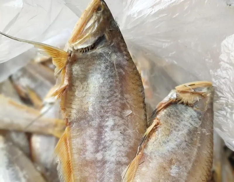 Cà Mau