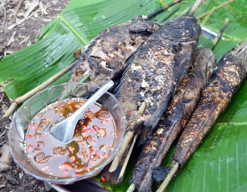 Cà Mau