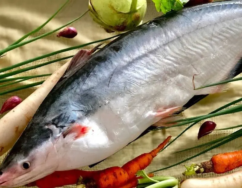Cà Mau