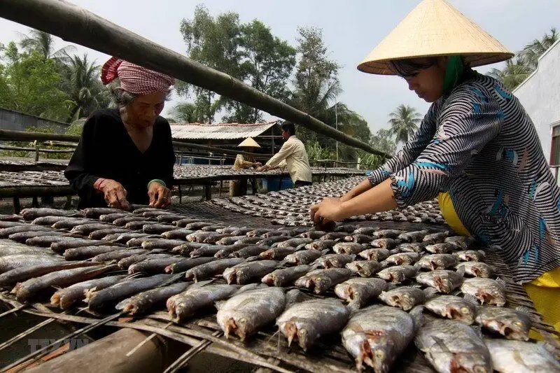Đặc sản Cà Mau - Tạ Uyên