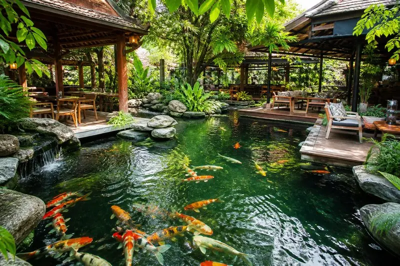5 quán cà phê cá koi ở Cà Mau có không gian đẹp, giá dễ chịu