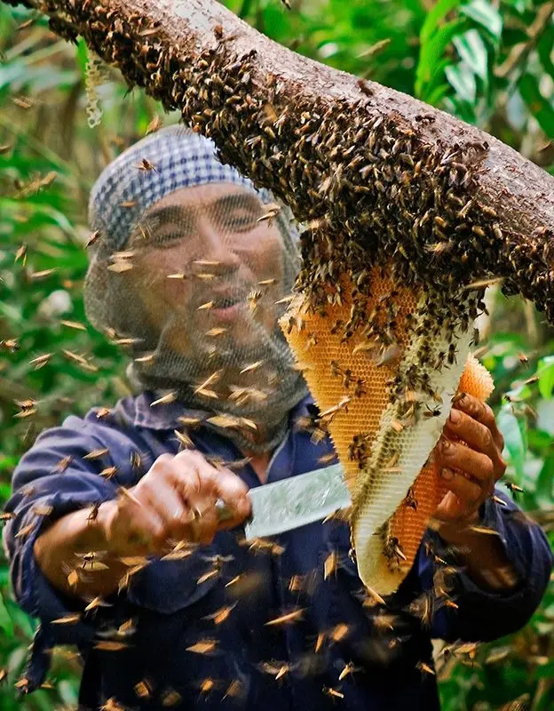 U Minh Hạ