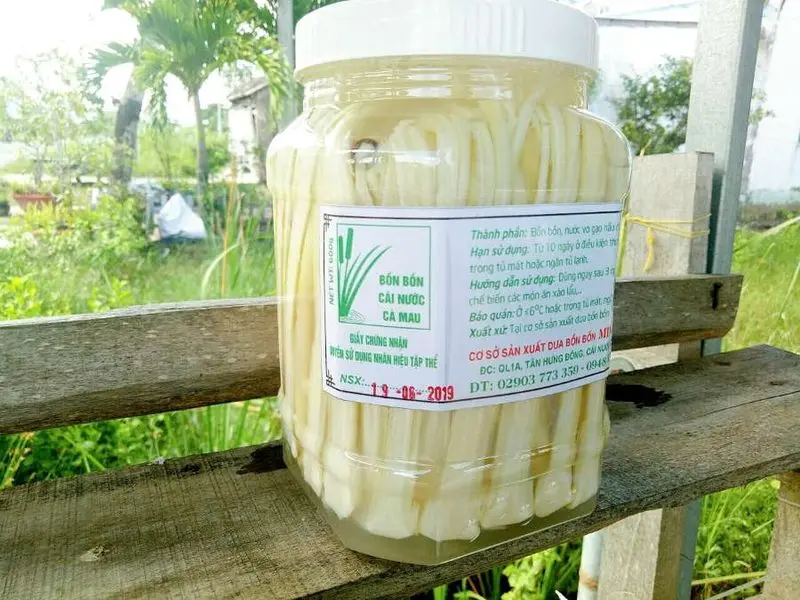 Bồn bồn Cái Nước – Chợ nổi Cà Mau
