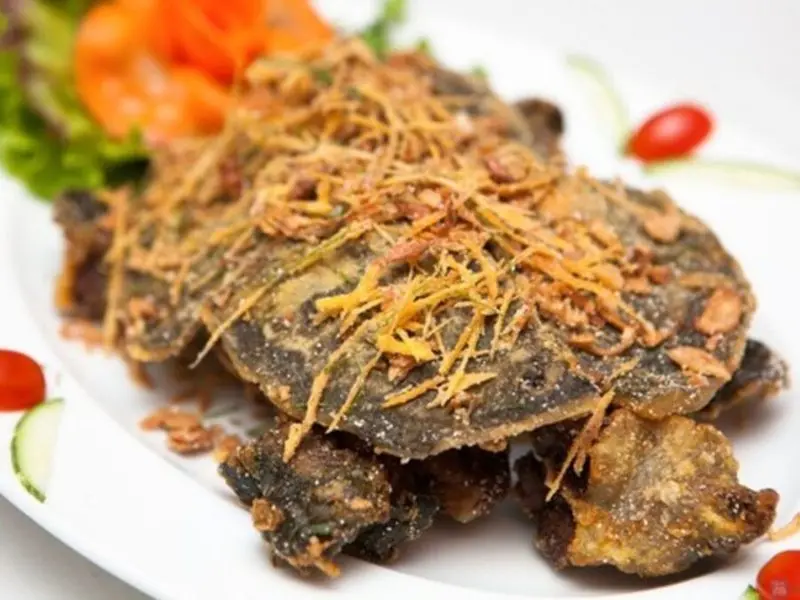 Đất Mũi Cà Mau
