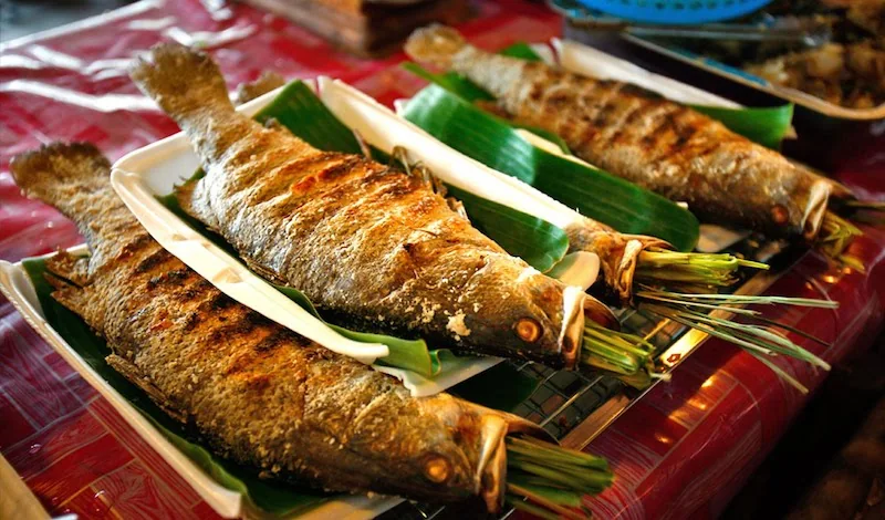 Cá suối