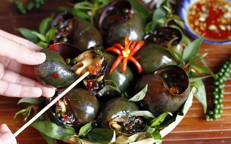 Quán Hải Như