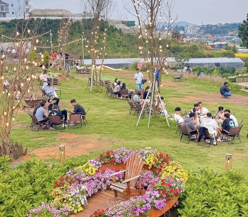 Thiết kế mở giữa thiên nhiên