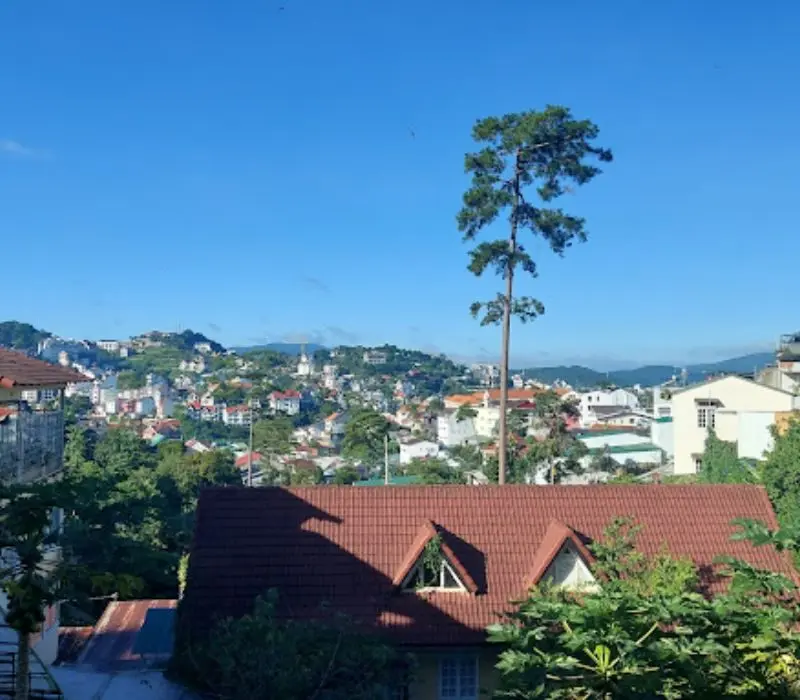 Cơm chay buffet Sương Mai