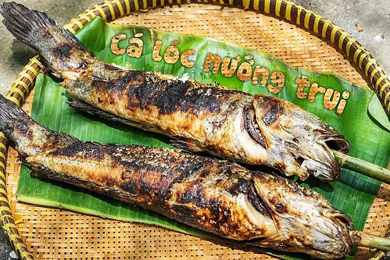 Đặc sản Đồng Tháp cá lóc nướng trui