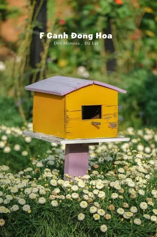 Thung lũng hoa nhiều sắc