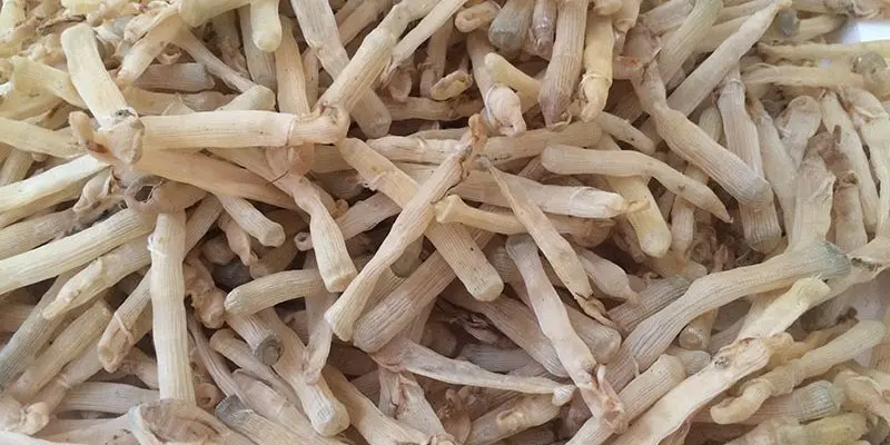 Kem úp ngược