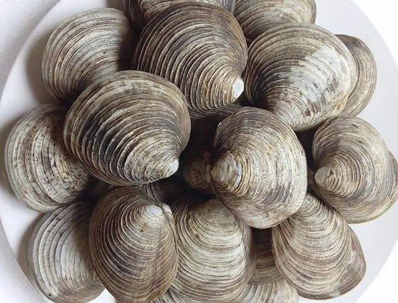 Các món từ ngán tươi