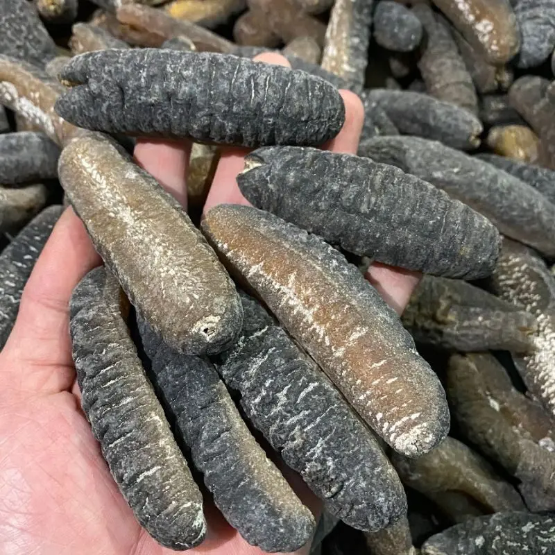 Chợ hải sản Hòn Gai