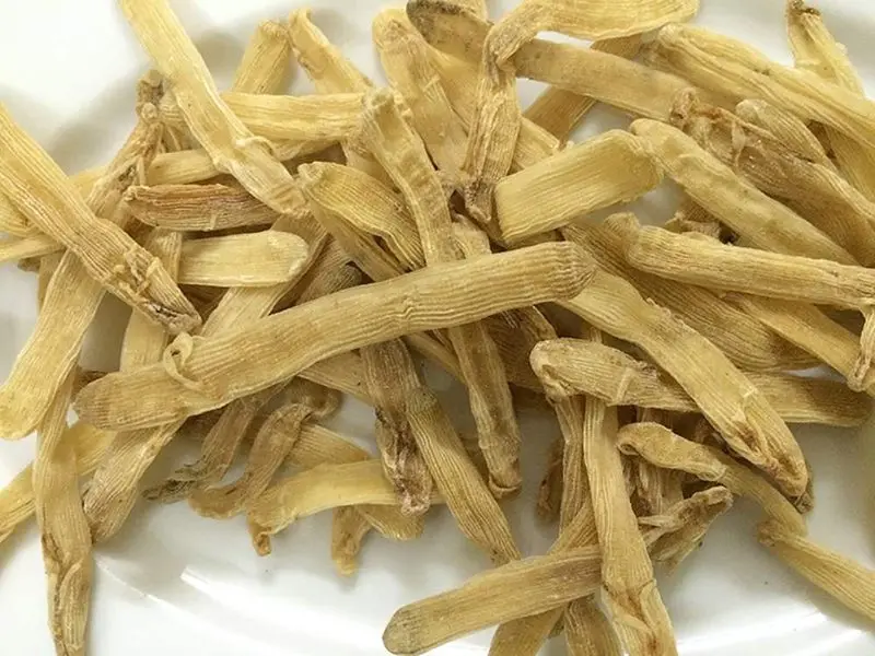 Mua sá sùng khô ở đâu?