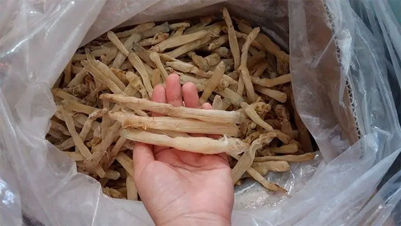 Thưởng thức sá sùng Hạ Long tươi