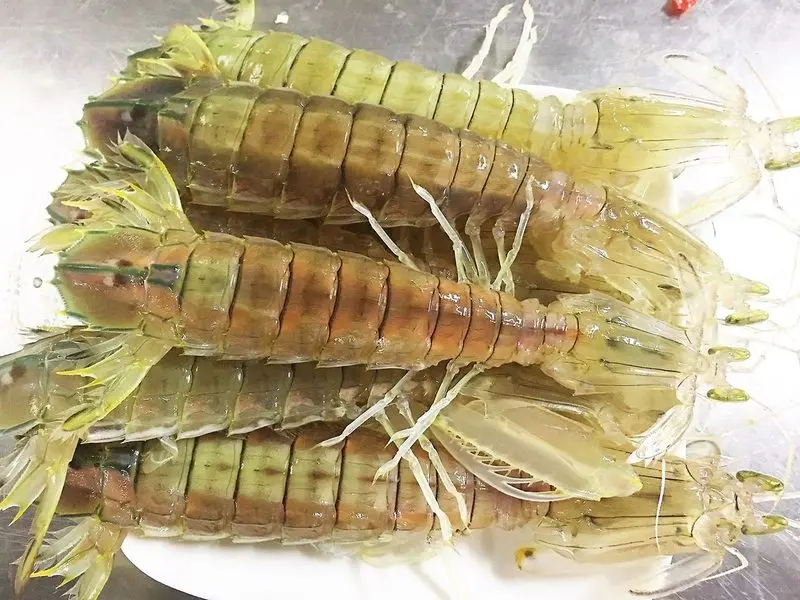 Bún bề bề Loan Thúy