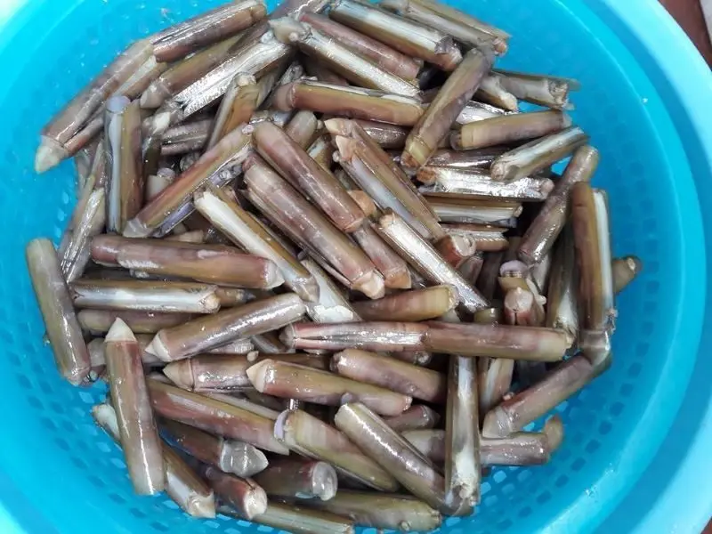 Siêu thị ốc Thủy Chung