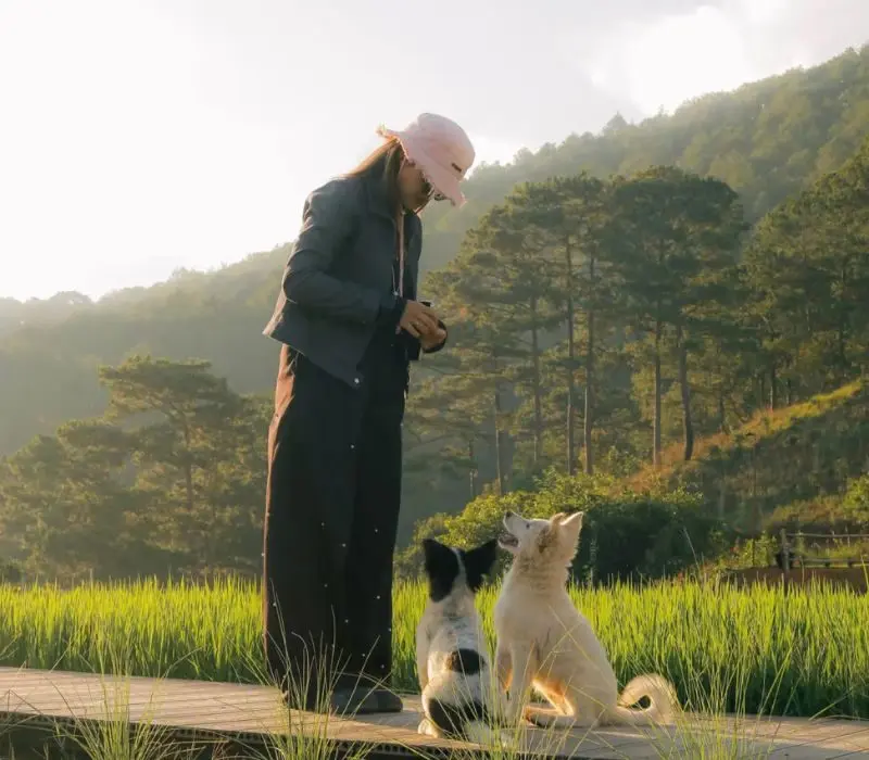 Hidden Land - góc check-in và những người bạn bốn chân