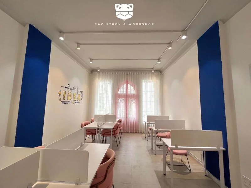 Cáo Study and Workshop