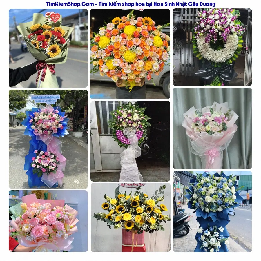 Hoa Tươi Thương Nguyễn - Hoa Tươi Cây Dương