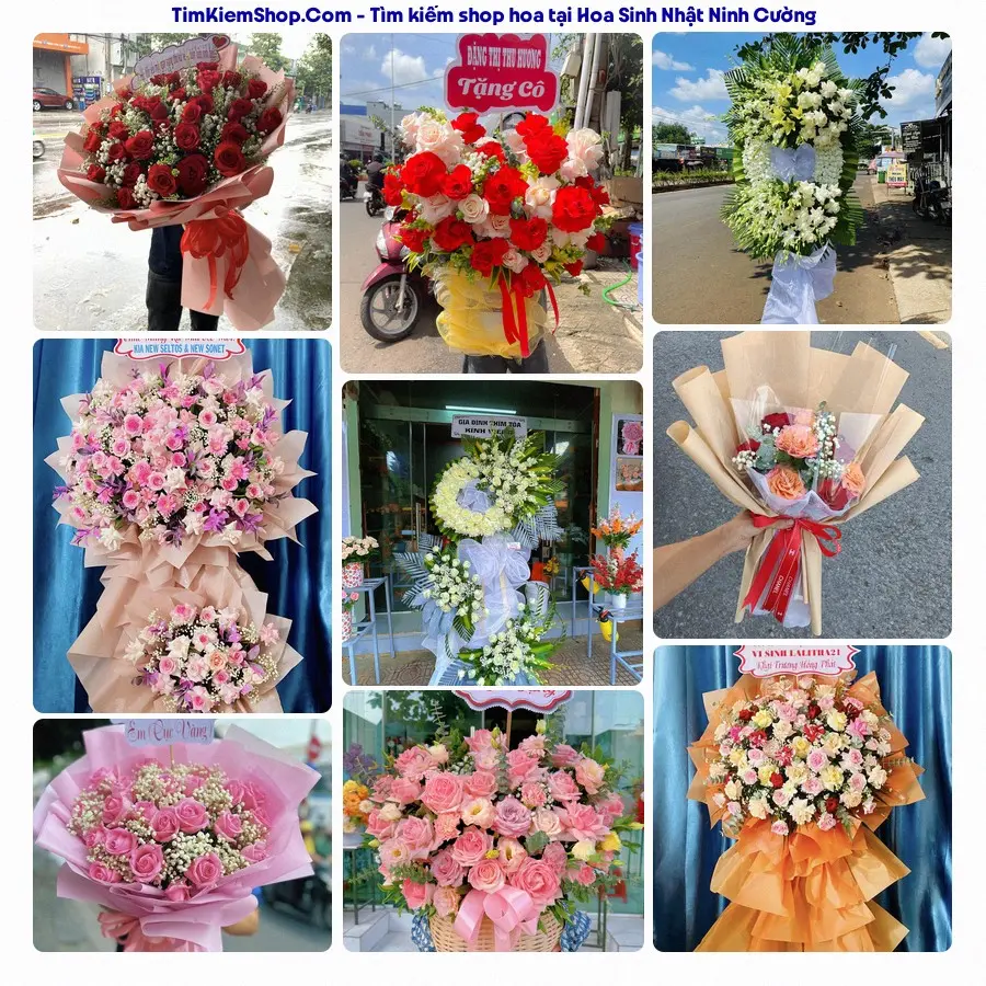 Hoa Tươi Thương Nguyễn - Hoa Tươi Ninh Cường