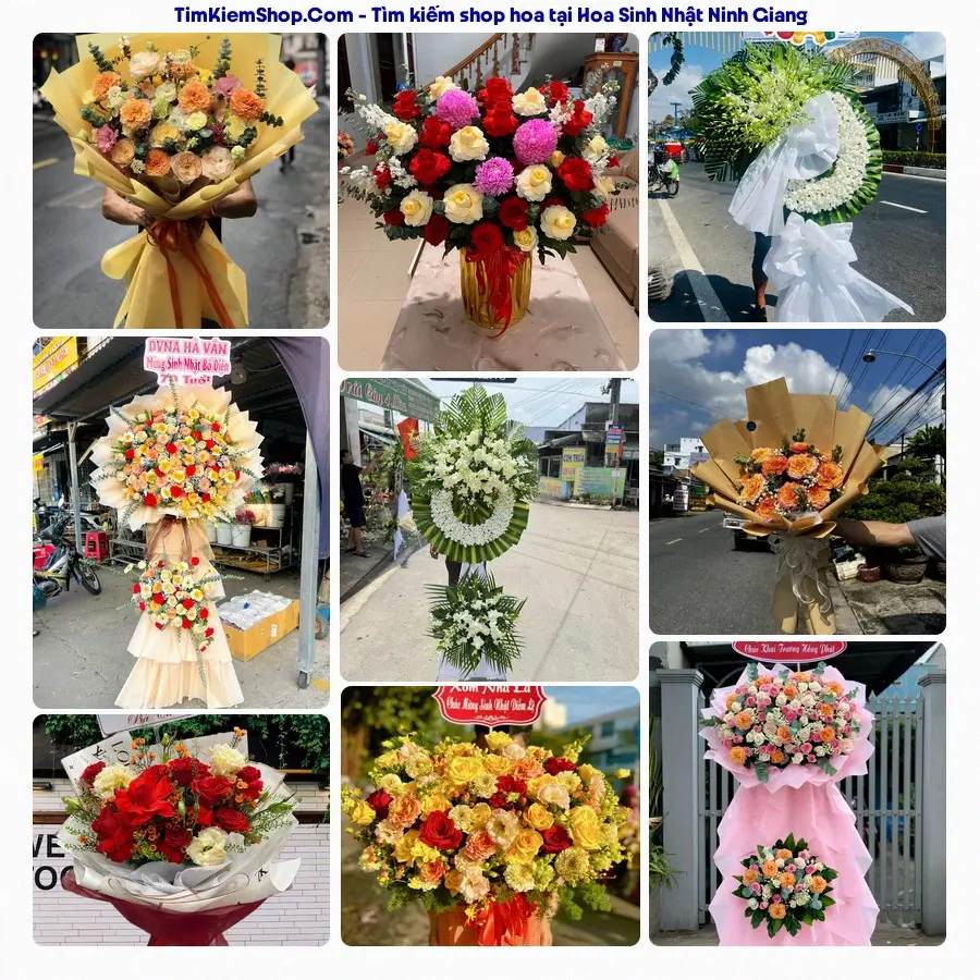 Hoa Tươi Thương Nguyễn - Hoa Tươi Ninh Giang