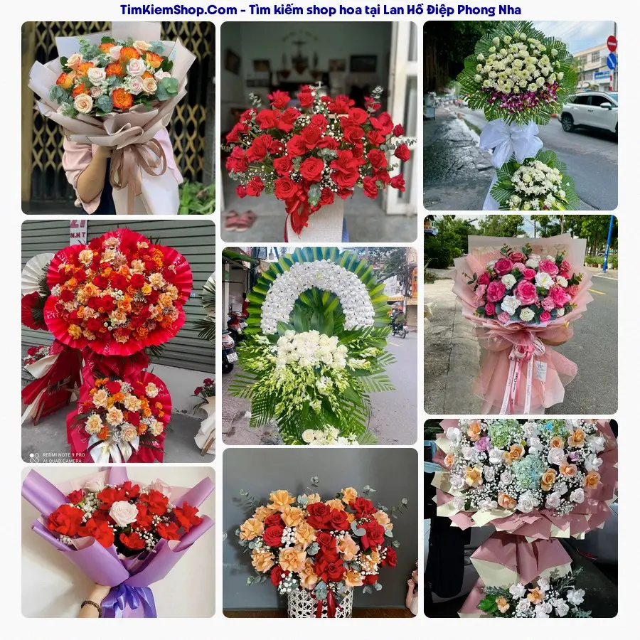 Hoa Tươi Thương Nguyễn - Hoa Tươi Phong Nha