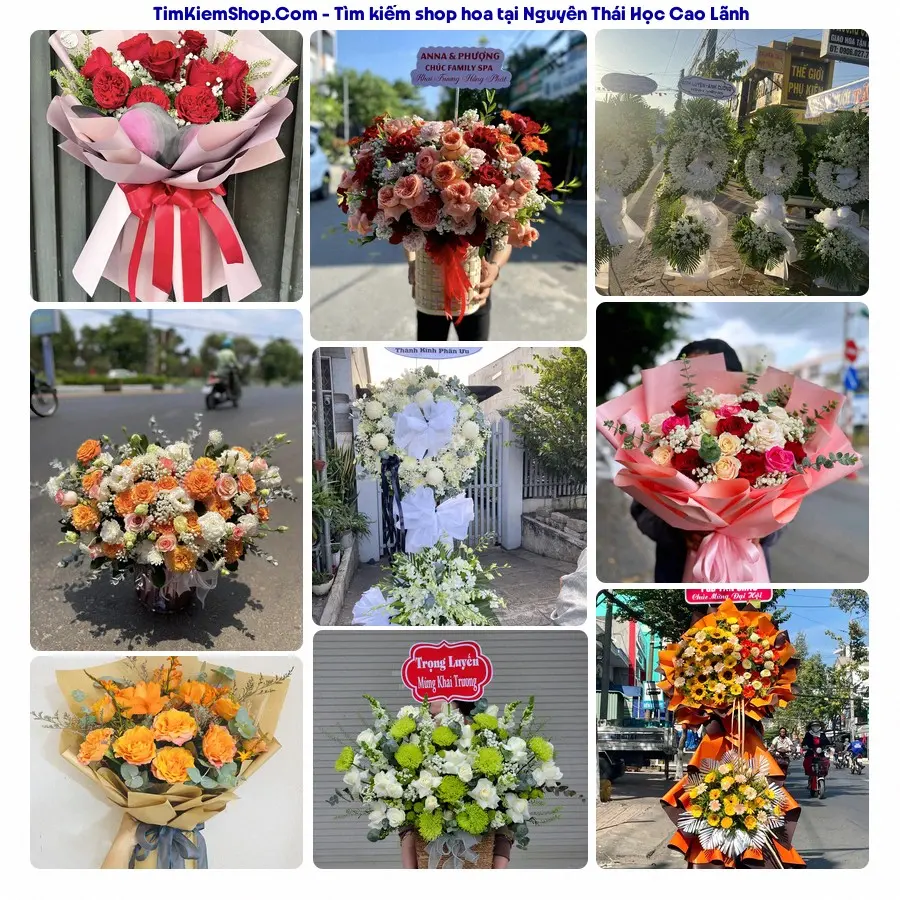 Hoa Tươi Thương Nguyễn - Hoa Tươi Phường Cao Lãnh