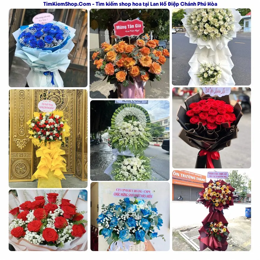 Hoa Tươi Thương Nguyễn - Hoa Tươi Phường Chánh Phú Hòa