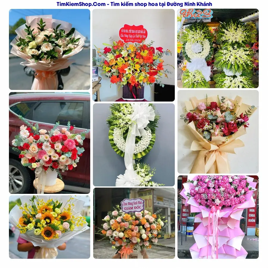 Hoa Tươi Thương Nguyễn - Hoa Tươi Phường Hoa Lư