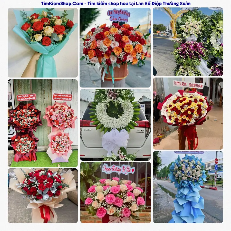 Hoa Tươi Thương Nguyễn - Hoa Tươi Thường Xuân