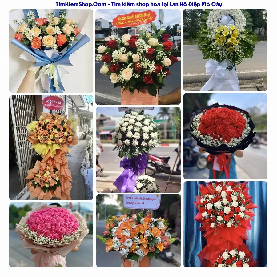 Hoa Tươi Thương Nguyễn - Hoa Tươi Xã Mỏ Cày
