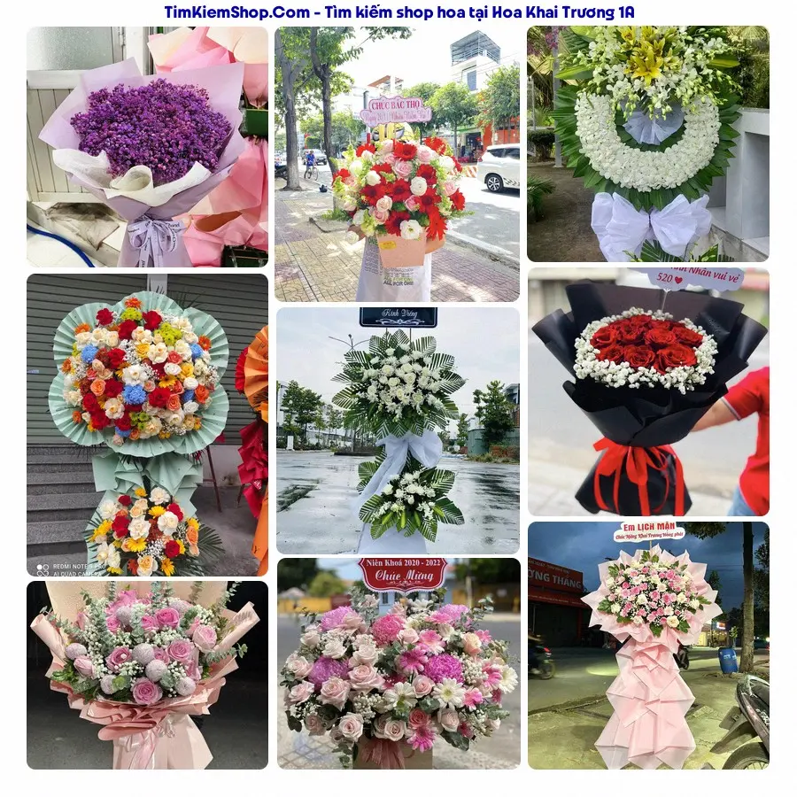 Hoa Tươi Thương Nguyễn - Hoa Tươi Xã Quảng Bình
