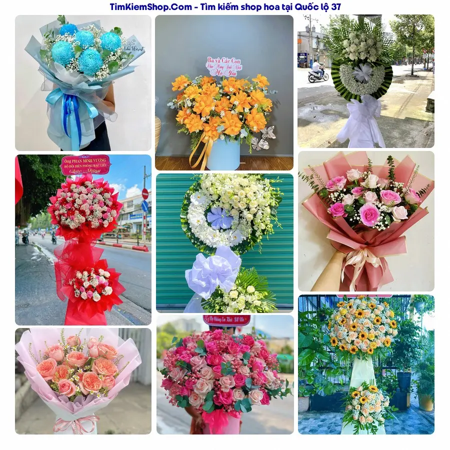 Hoa Tươi Thương Nguyễn - Hoa Tươi Xã Trần Phú