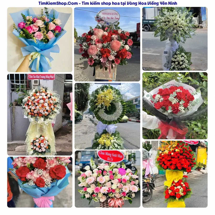 Hoa Tươi Thương Nguyễn - Hoa Tươi Yên Ninh