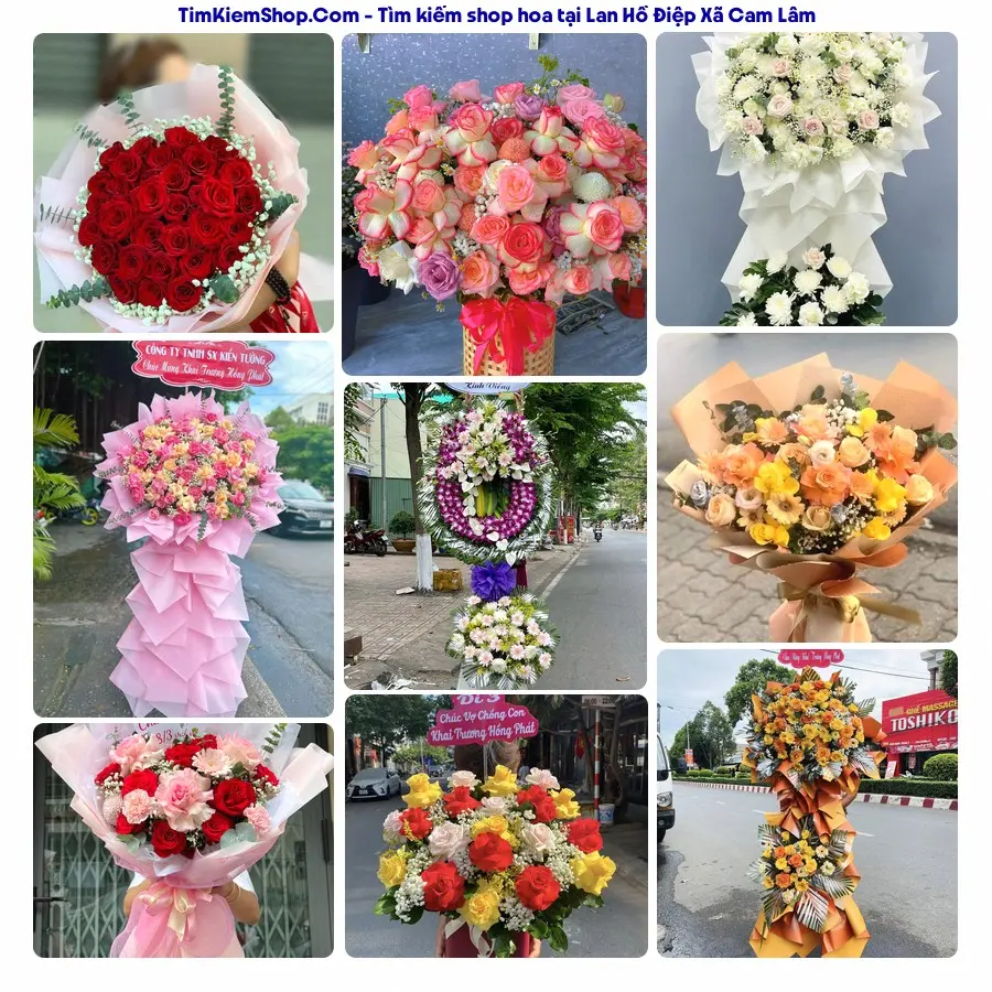 Hoa Tươi Thương Nguyễn - Shop Hoa Xã Cam Lâm