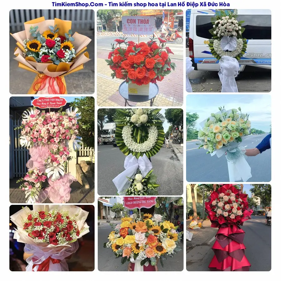 Hoa Tươi Thương Nguyễn - Shop Hoa Xã Đức Hòa