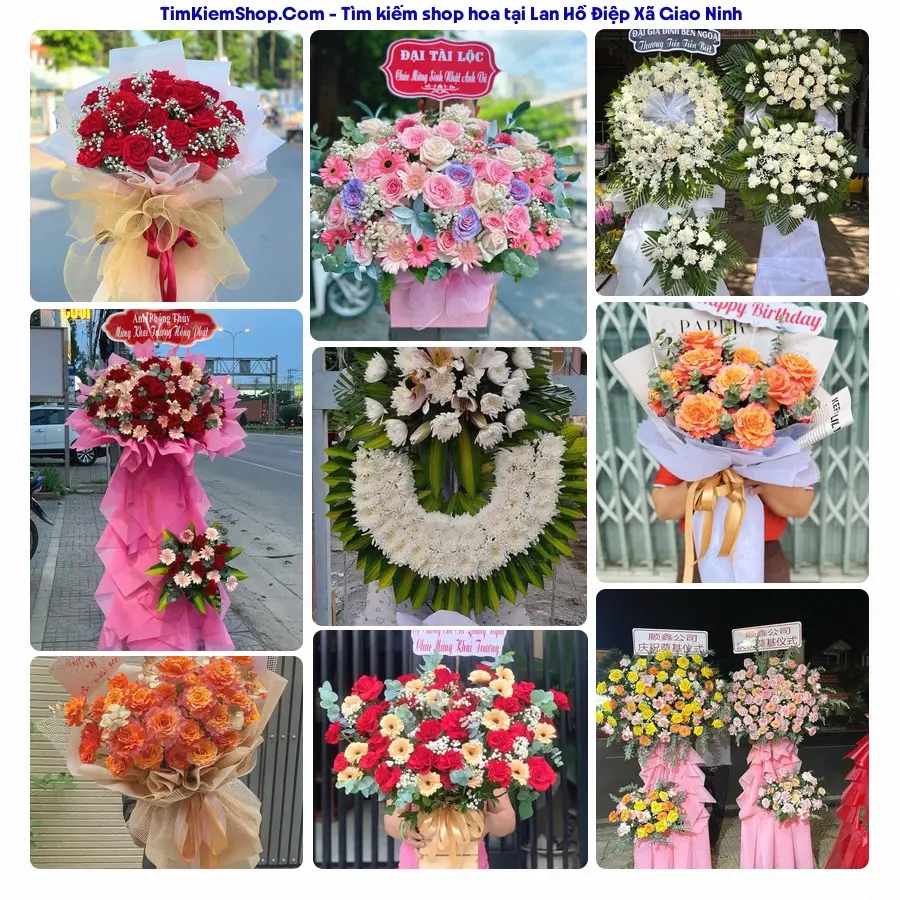 Hoa Tươi Thương Nguyễn - Shop Hoa Xã Giao Ninh