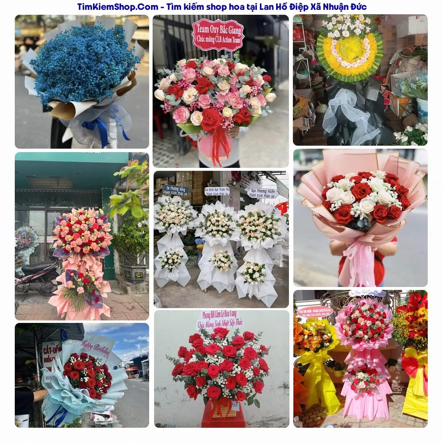 Hoa Tươi Thương Nguyễn - Shop Hoa Xã Nhuận Đức