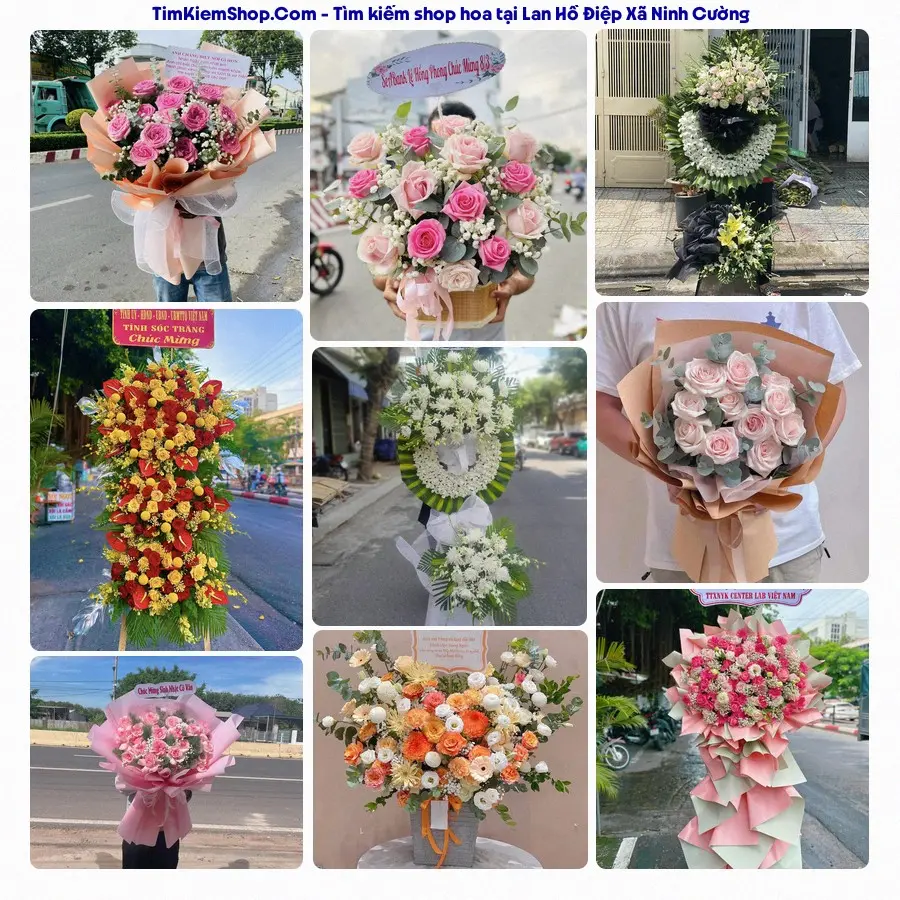 Hoa Tươi Thương Nguyễn - Shop Hoa Xã Ninh Cường