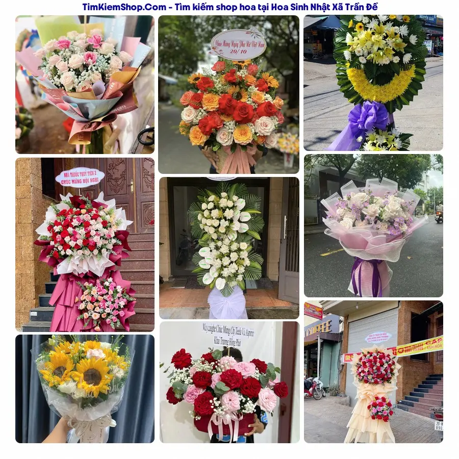 Hoa Tươi Thương Nguyễn - Shop Hoa Xã Trần Đề