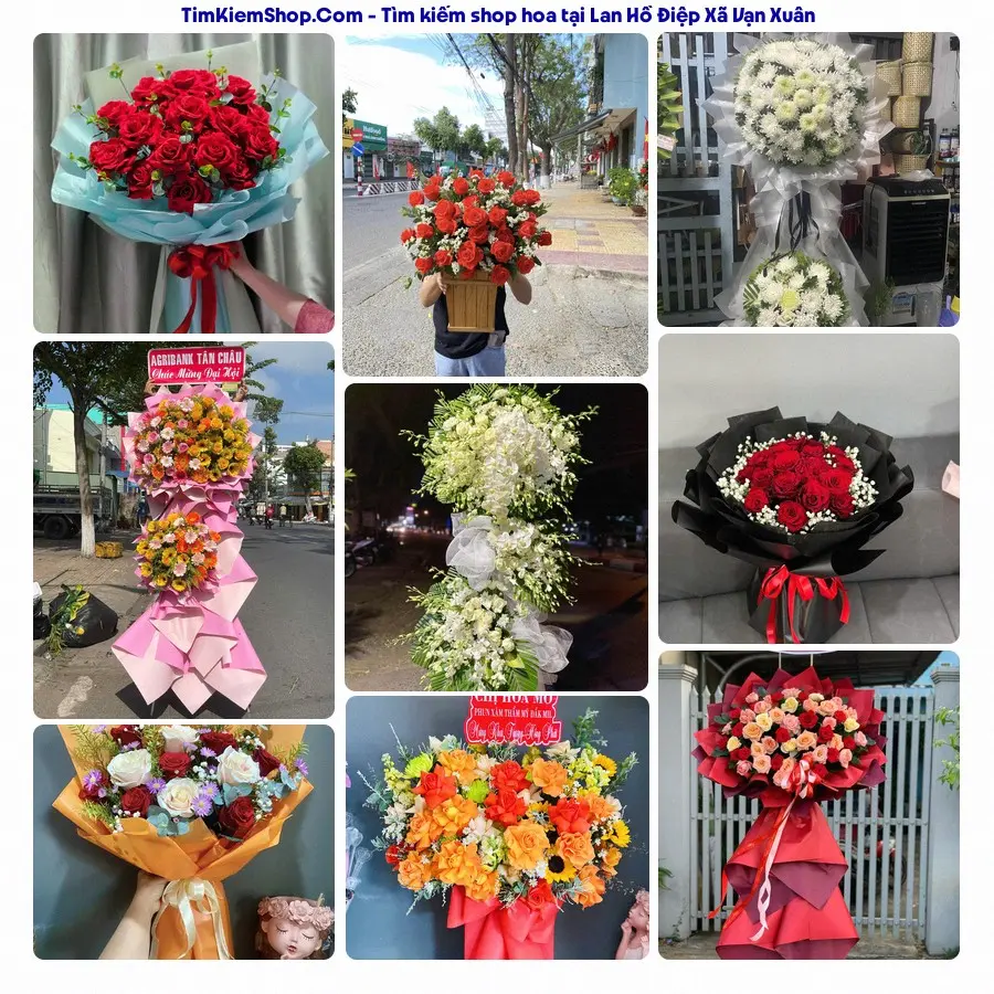 Hoa Tươi Thương Nguyễn - Shop Hoa Xã Vạn Xuân