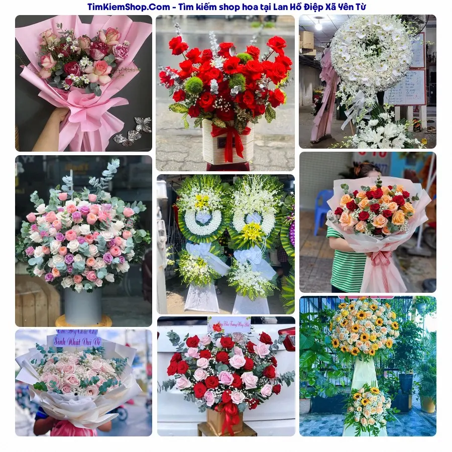 Hoa Tươi Thương Nguyễn - Shop Hoa Xã Yên Từ