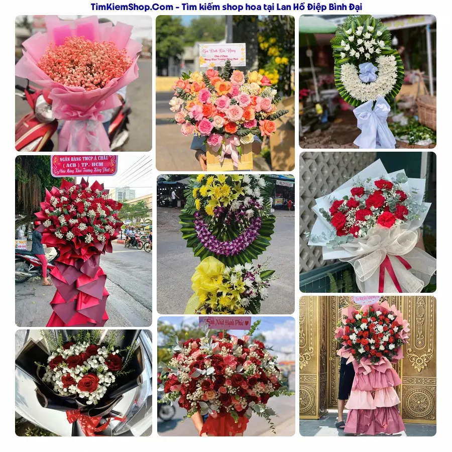 Hoa Tươi Thủy Nguyễn - Hoa Tươi Bình Đại