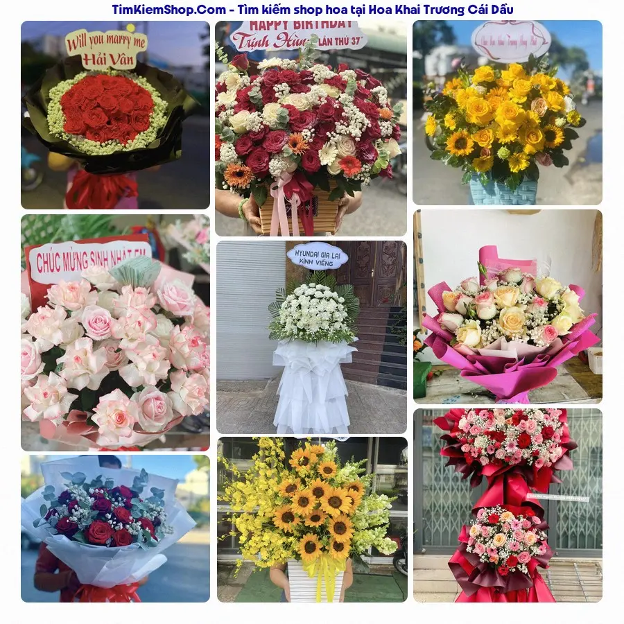 Hoa Tươi Thủy Nguyễn - Hoa Tươi Cái Dầu